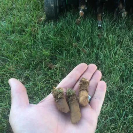 Aeration & Overseeding