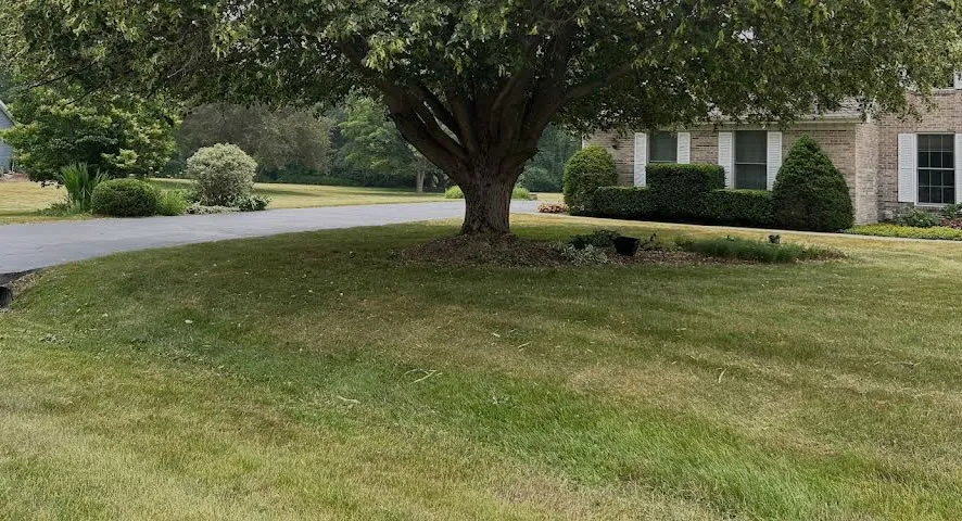 Industrial Lawn
