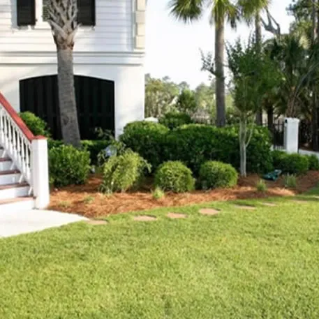 Landscaping