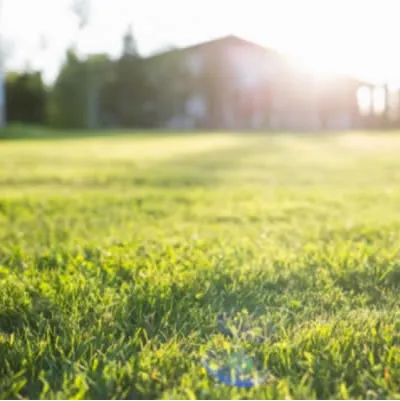 Lawn Maintenance