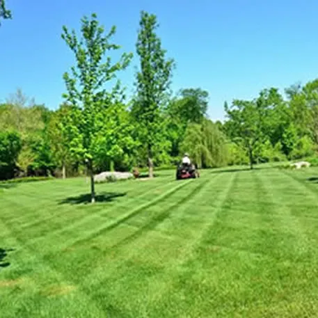 Lawn Overseeding Service