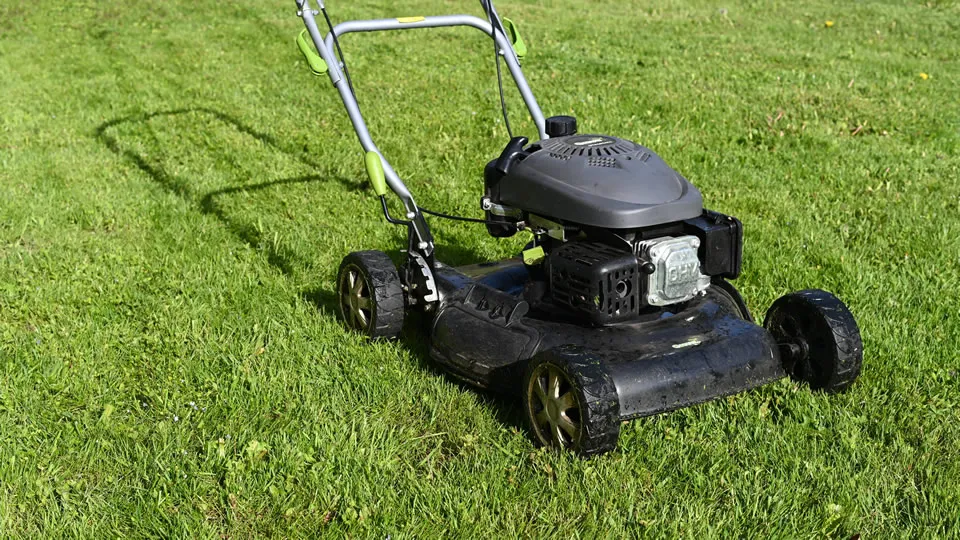 Why Hire Professional Lawn And Landscaping Companies St. Charles, Illinois