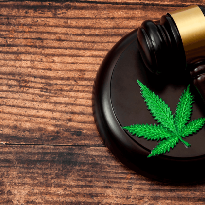 Massachusetts juvenile marijuana charges - Riccio law