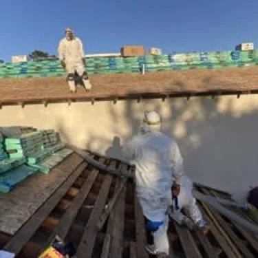 Insulation Removal