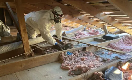 Insulation Removal