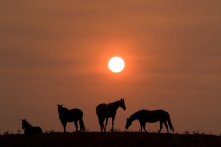 Sunset-2008-140