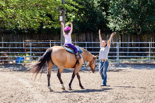 riding-school-box