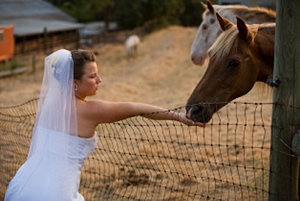 wedding2-large