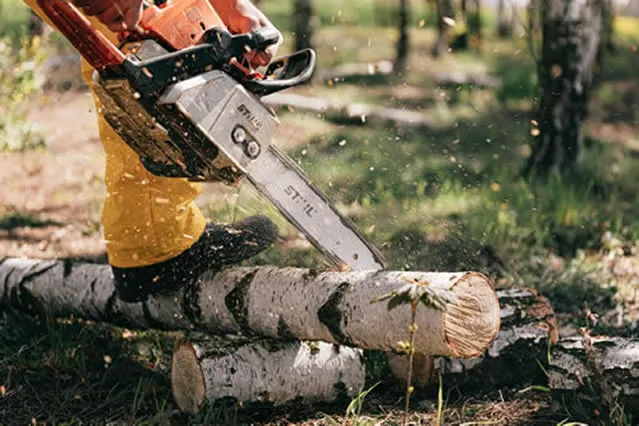 Tree Cutting