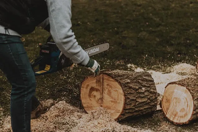 Tree Cutting