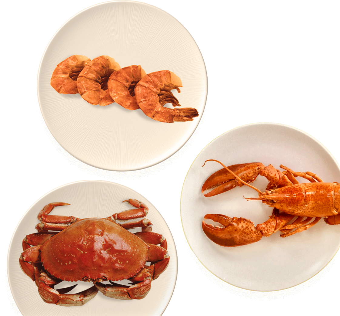 plates2