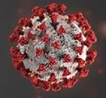 Covid-19 Virus Laws in Massachusetts