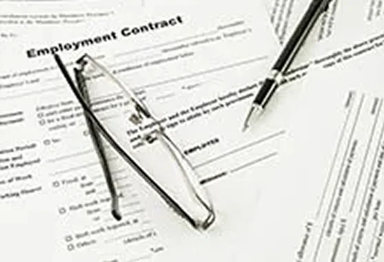 Employment Law image