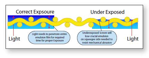 Correct Exposure Graph