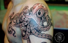 octopus