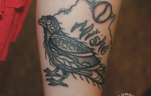 ojibway raven