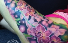 orchids