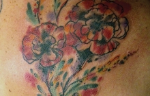 watercolor poppies