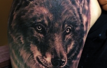 wolf