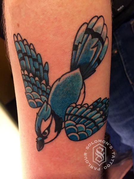 Bluejay