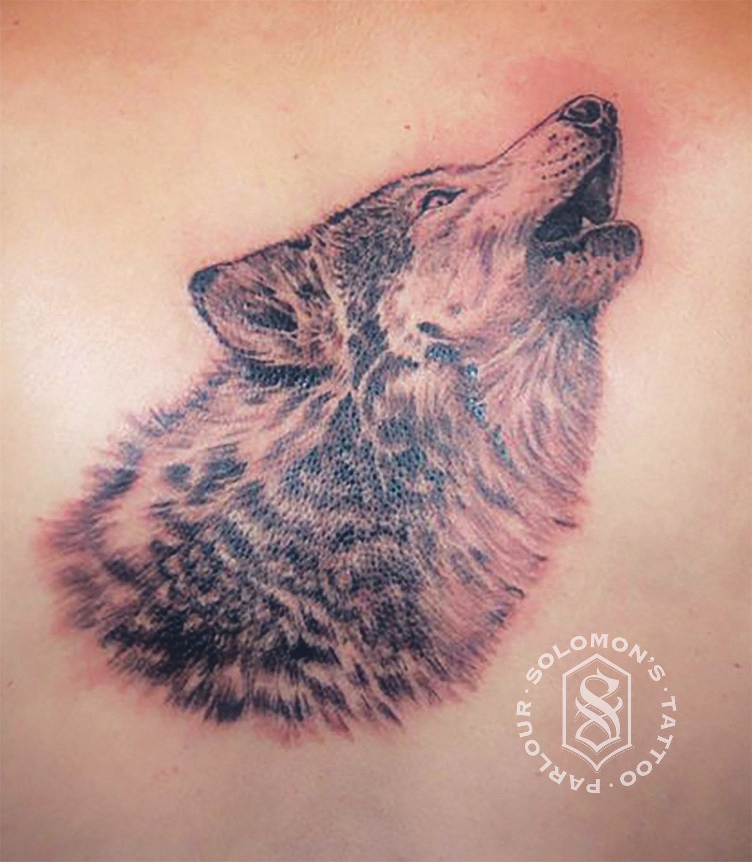 howling wolf
