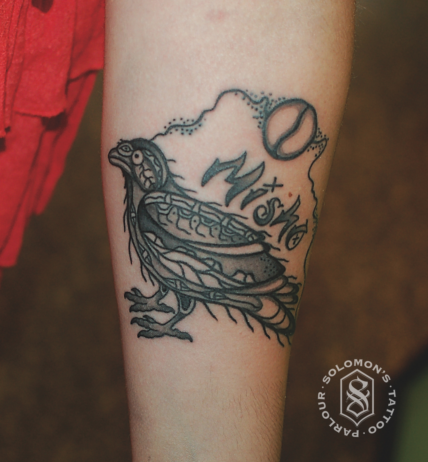 ojibway raven