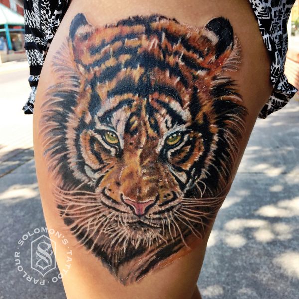 tiger