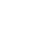 Electric Inspectors Logo