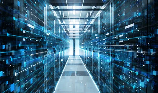 Network and IT Services
